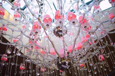 Location salle Busnes (Pas-de-Calais) - Rose Events #8