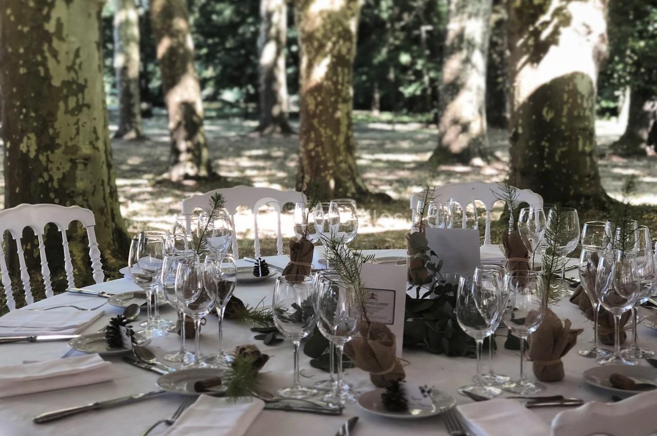 Table dressée en extérieur sous des arbres, avec nappes blanches, verres, couverts et décorations végétales.