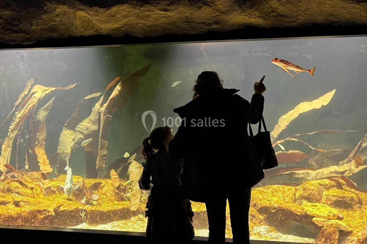 Deux personnes, une adulte et un enfant, observent un aquarium avec des poissons et des plantes aquatiques.