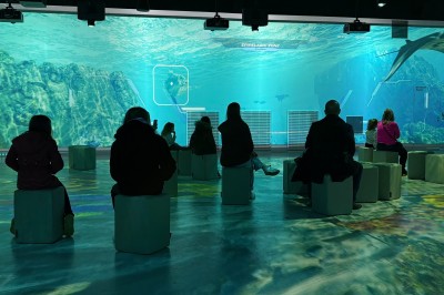 Deux personnes, une adulte et un enfant, observent un aquarium avec des poissons et des plantes aquatiques.