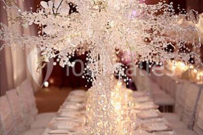 Location salle Fresnes (Val-de-Marne) - Salon Tiger #6