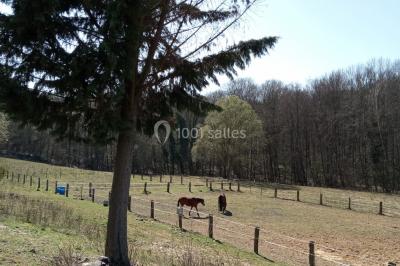 Portail en fer forgé rouge avec piliers blancs, donnant sur une allée menant à une maison entourée d'arbres.