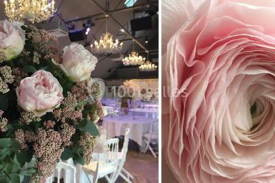 Pont éclairé et kiosque en bois près d'une fontaine illuminée, entourés d'arbres dans un parc nocturne.
