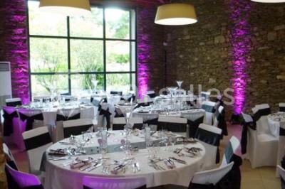 Logo du Jardin Leray avec un dessin stylisé d'arbre blanc et vert sur fond marron, accompagné du texte ’Gîte et Réceptions’.