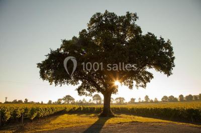 Logo du Jardin Leray avec un dessin stylisé d'arbre blanc et vert sur fond marron, accompagné du texte ’Gîte et Réceptions’.