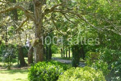 Location salle Vallet (Loire-Atlantique) - Jardin Cleray #20