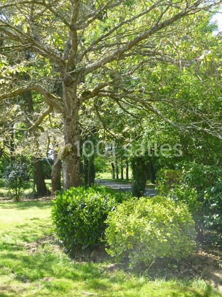 Location salle Vallet (Loire-Atlantique) - Jardin Cleray #8