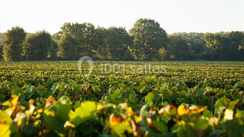 Location salle Vallet (Loire-Atlantique) - Jardin Cleray #13