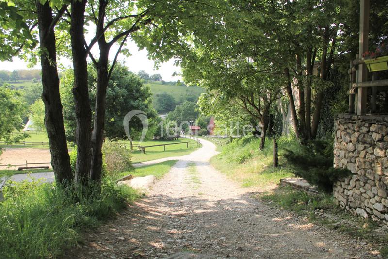 Chemin de terre bordé d'arbres menant à une prairie avec des clôtures et des collines verdoyantes en arrière-plan.