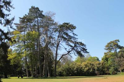 Comptoir d'accueil noir brillant dans un espace lumineux avec un sol en pierre et une plante en pot près d'une fenêtre.