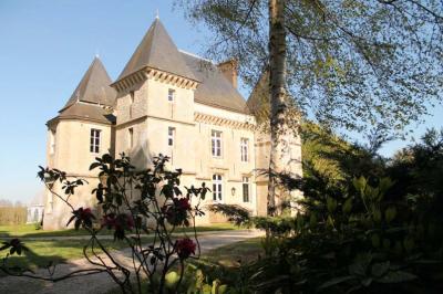 Comptoir d'accueil noir brillant dans un espace lumineux avec un sol en pierre et une plante en pot près d'une fenêtre.