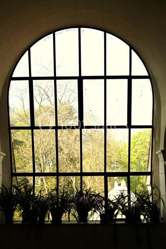 Grande fenêtre cintrée avec des carreaux, vue sur des arbres et des plantes en pot alignées sur le rebord.