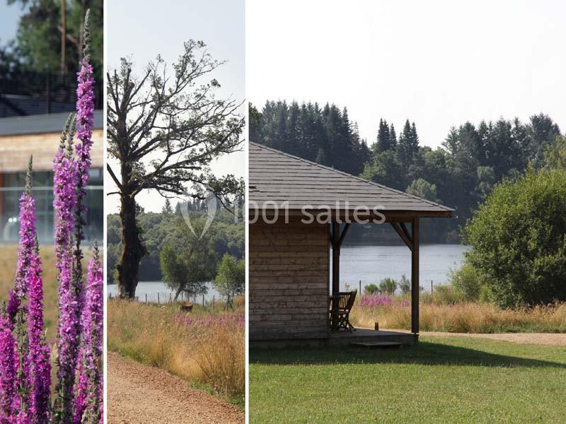 Paysage rural avec fleurs violettes, chemin de terre, arbre isolé et cabanon en bois près d'un lac bordé de forêt.