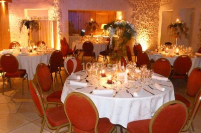 Location salle Saint-Benoît-sur-Loire (Loiret) - La Ferme des Vignes Berault #19