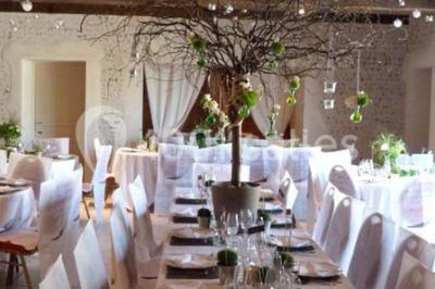 Location salle Saint-Benoît-sur-Loire (Loiret) - La Ferme des Vignes Berault #19