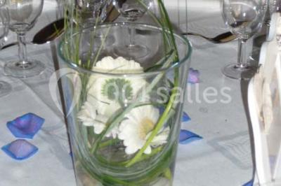 Location salle Saint-Benoît-sur-Loire (Loiret) - La Ferme des Vignes Berault #19