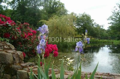 Location salle La Chapelle-Chaussée (Ille-et-Vilaine) - La Demeure D'ogust #21