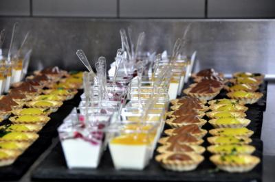 Étang entouré de pelouses et de bouleaux sous un ciel bleu clair.