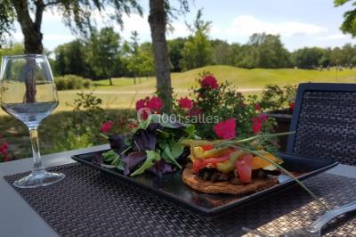 Étang entouré de pelouses et de bouleaux sous un ciel bleu clair.