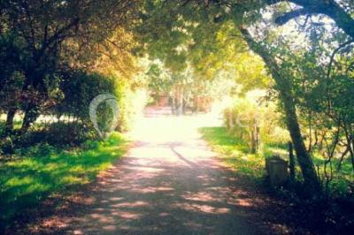 Location salle Saint-Viaud (Loire-Atlantique) - Domaine Du Petit Marais #17