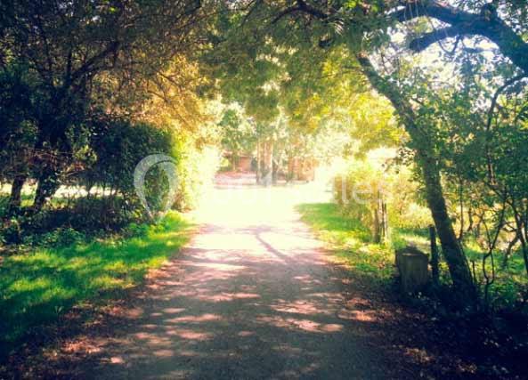 Location salle Saint-Viaud (Loire-Atlantique) - Domaine Du Petit Marais #10