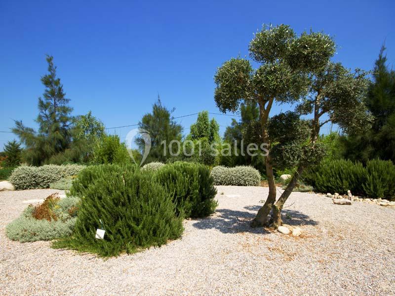 Location salle Sainte-Marie (Pyrénées-Orientales) - Le Jardin D'ariane #2