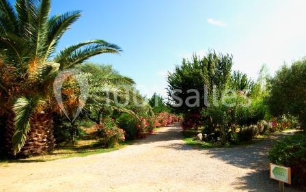 Location salle Sainte-Marie (Pyrénées-Orientales) - Le Jardin D'ariane #1