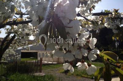 Location salle Carcassonne (Aude) - La Cave Des Anges #24