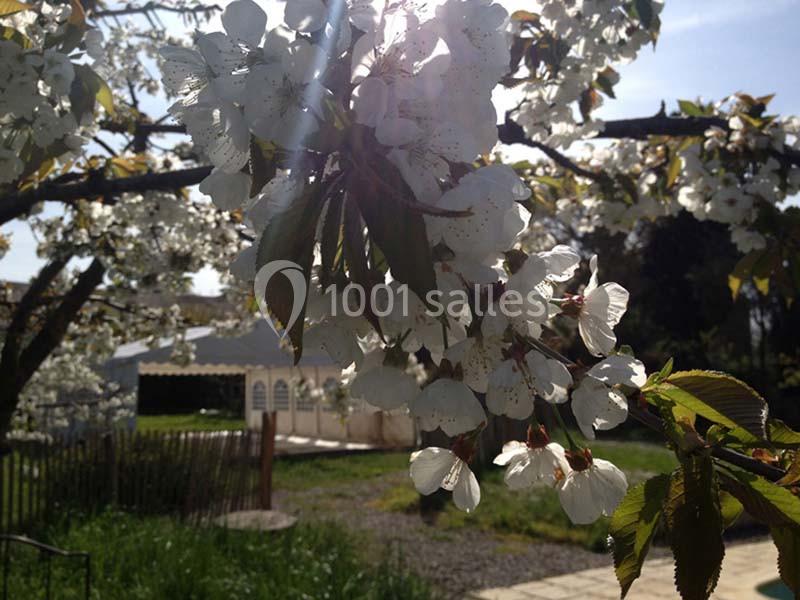 Location salle Carcassonne (Aude) - La Cave Des Anges #10