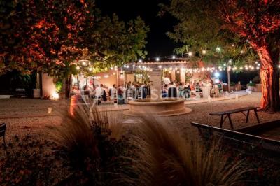 Un artiste chante sur scène avec une personne en costume étincelant sous des lumières violettes, devant un public assis.