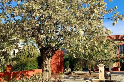 Un artiste chante sur scène avec une personne en costume étincelant sous des lumières violettes, devant un public assis.