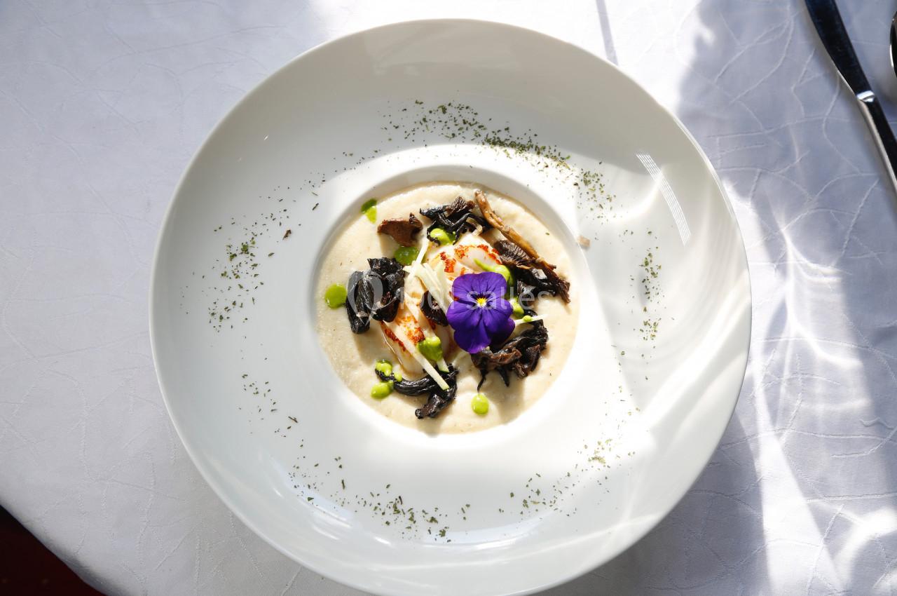 Assiette de soupe crémeuse garnie de champignons, herbes, crème, et une fleur comestible violette.