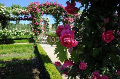 Location salle La Cadière-d'Azur (Var) - La Bastide Des Saveurs (berard Traiteur) #24