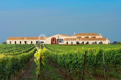 Miniature Location salle La Brée-les-Bains (Charente-Maritime) - Ile d'Oléron Vignoble Pinard Maxime #6 Salle de distillation avec alambics en cuivre, équipements en acier inoxydable et sol carrelé clair.