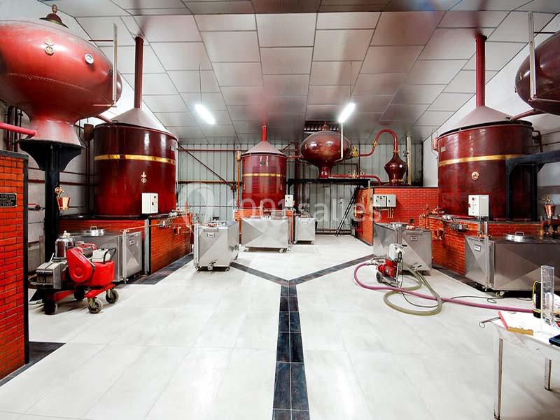 Salle de distillation avec alambics en cuivre, équipements en acier inoxydable et sol carrelé clair.