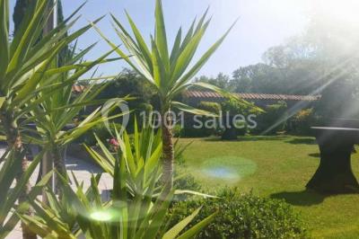 Jardin ensoleillé avec des palmiers au premier plan, pelouse verte et tables hautes recouvertes de nappes noires en arrière…