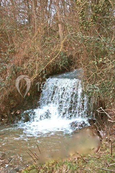 Location salle Saint-Cyr-la-Rosière (Orne) - Château De La Mouchère #13