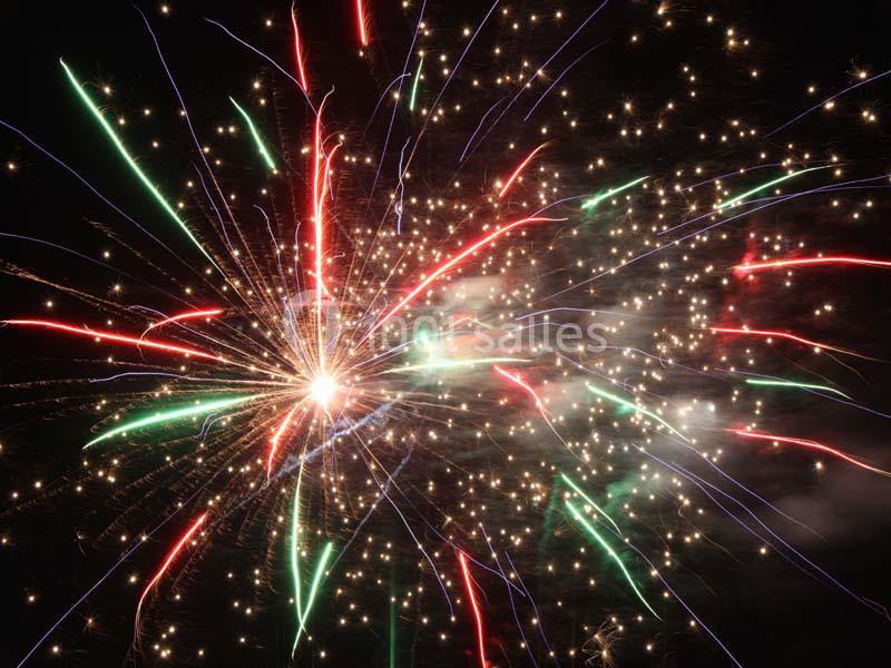 Feux d'artifice multicolores éclatant dans un ciel nocturne sombre.