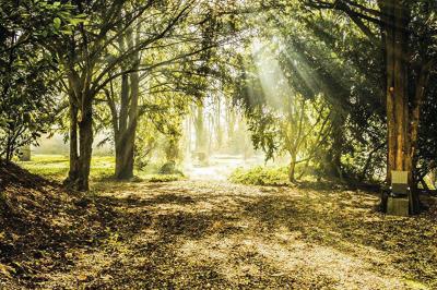 Location salle Bray-et-Lû (Val-d'Oise) - Les Jardins d'Epicure #13