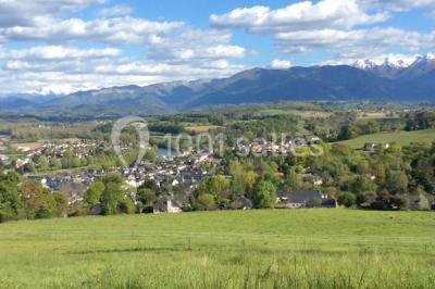 Escalier en pierre décoré de fleurs, menant à une pièce lumineuse avec carrelage en damier et vue sur un jardin.