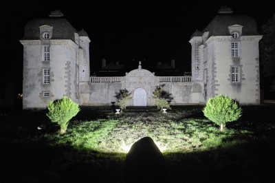 Façade éclairée d'un château à deux tours symétriques, vue de nuit avec des buissons au premier plan.