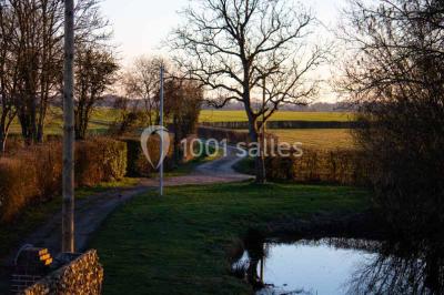Chemin de campagne bordé de poteaux électriques et clôtures, traversant un paysage rural sous un ciel sombre.