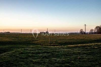 Chemin de campagne bordé de poteaux électriques et clôtures, traversant un paysage rural sous un ciel sombre.