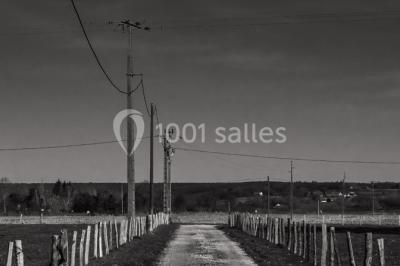 Chemin de campagne bordé de poteaux électriques et clôtures, traversant un paysage rural sous un ciel sombre.