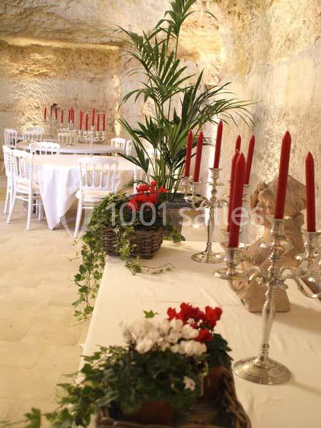 Location salle Tours (Indre-et-Loire) - La Grotte de la Roche aux Fées #23