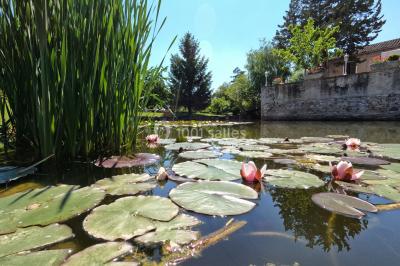 Allée bordée d'arbres et d'arbustes, avec un sol en gravier sous un ciel bleu dégagé.