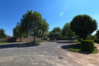 Allée bordée d'arbres et d'arbustes, avec un sol en gravier sous un ciel bleu dégagé.