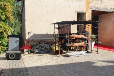 Allée bordée d'arbres et d'arbustes, avec un sol en gravier sous un ciel bleu dégagé.