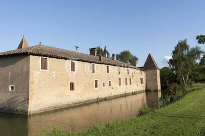 Allée bordée d'arbres et d'arbustes, avec un sol en gravier sous un ciel bleu dégagé.