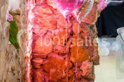 Location salle Moissy-Cramayel (Seine-et-Marne) - Domaine d'Arvigny #24